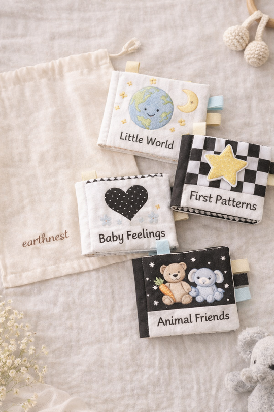 Baby's First Books Set